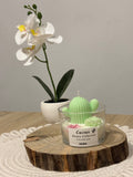 Cactus - Nature collection
