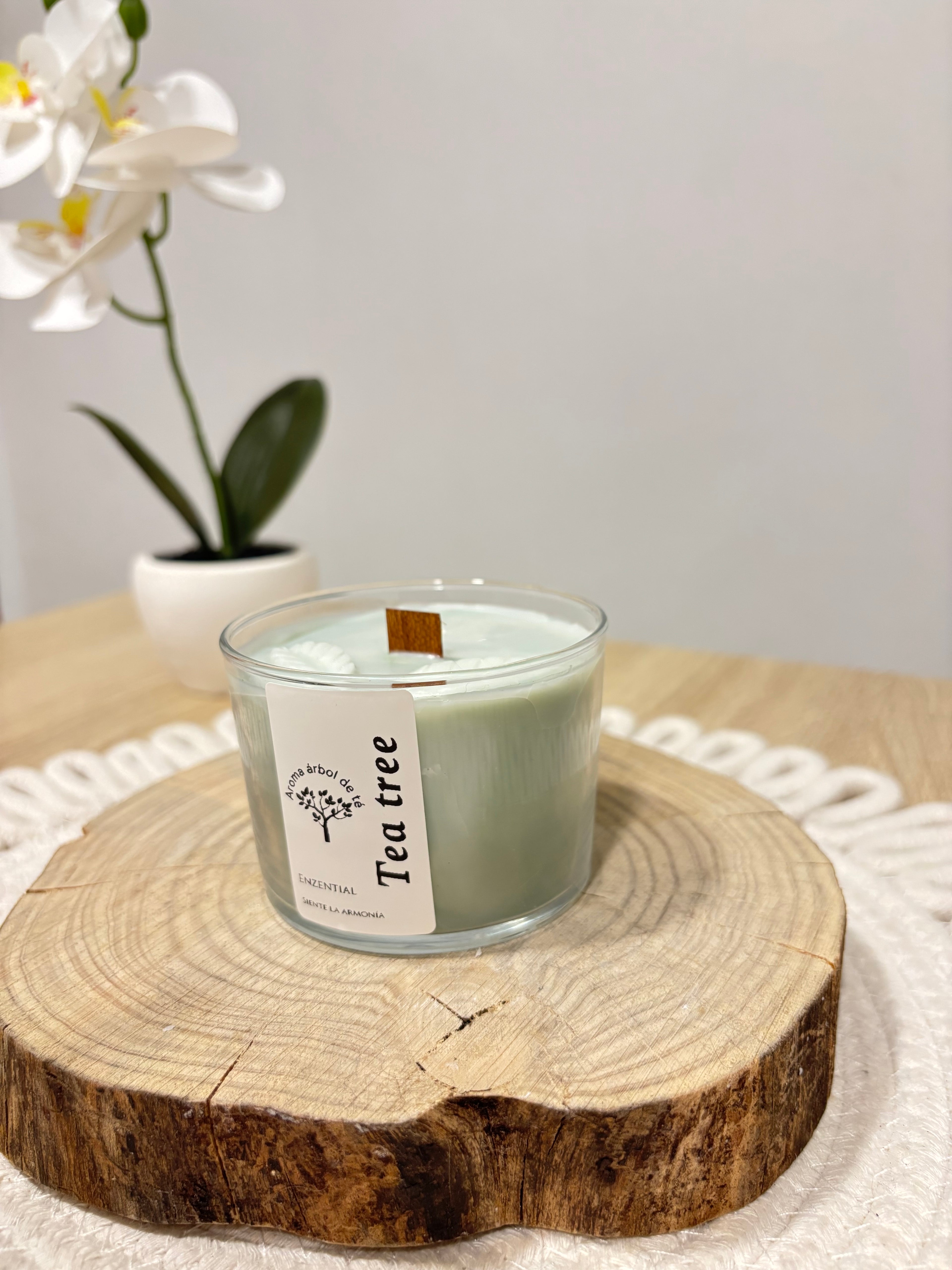 Vela Tea Tree -Aroma arbol de té 🌳