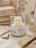 Vela Magical wishes - Harry P