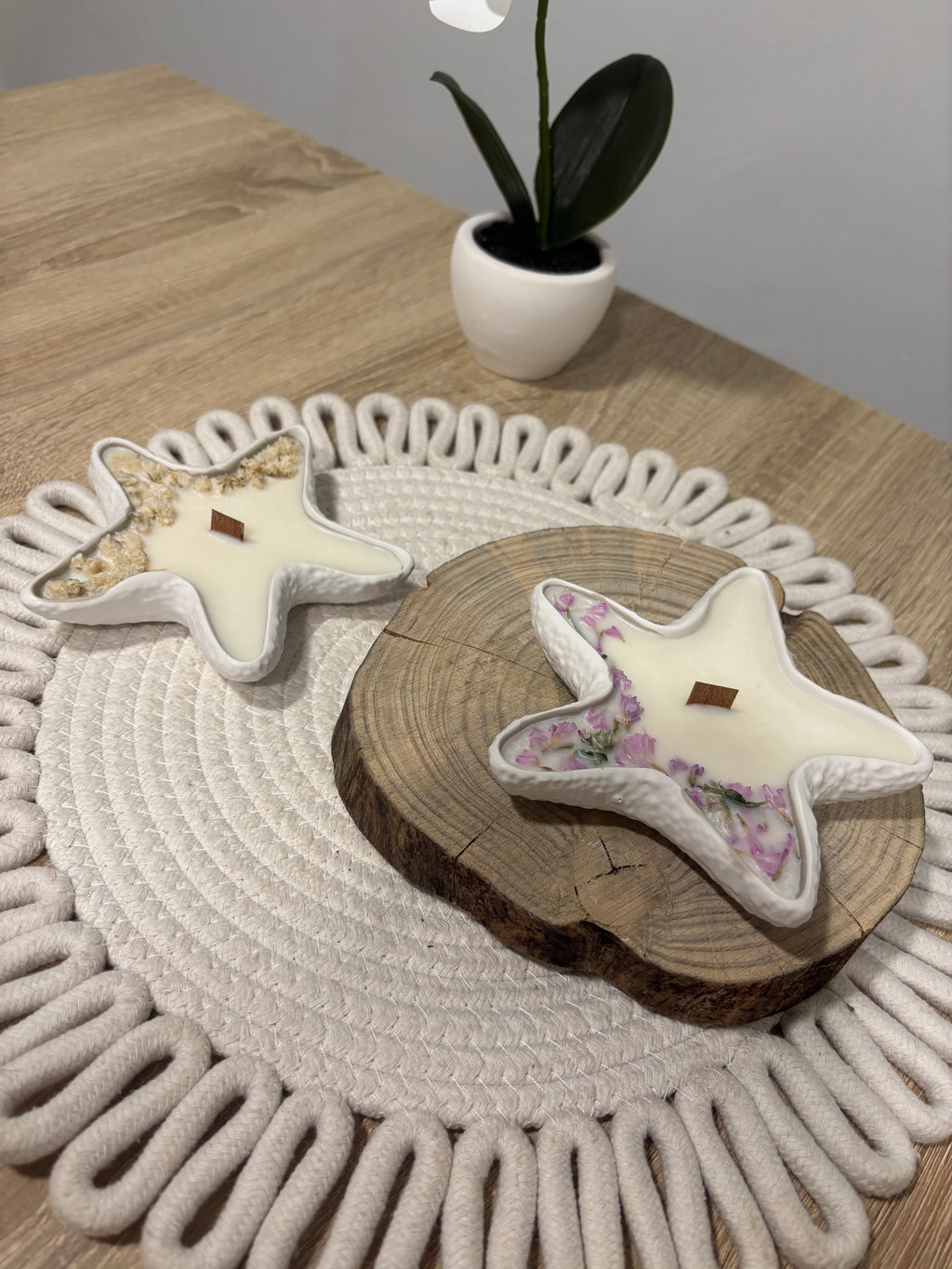 Estrella marina 🌸 Beige