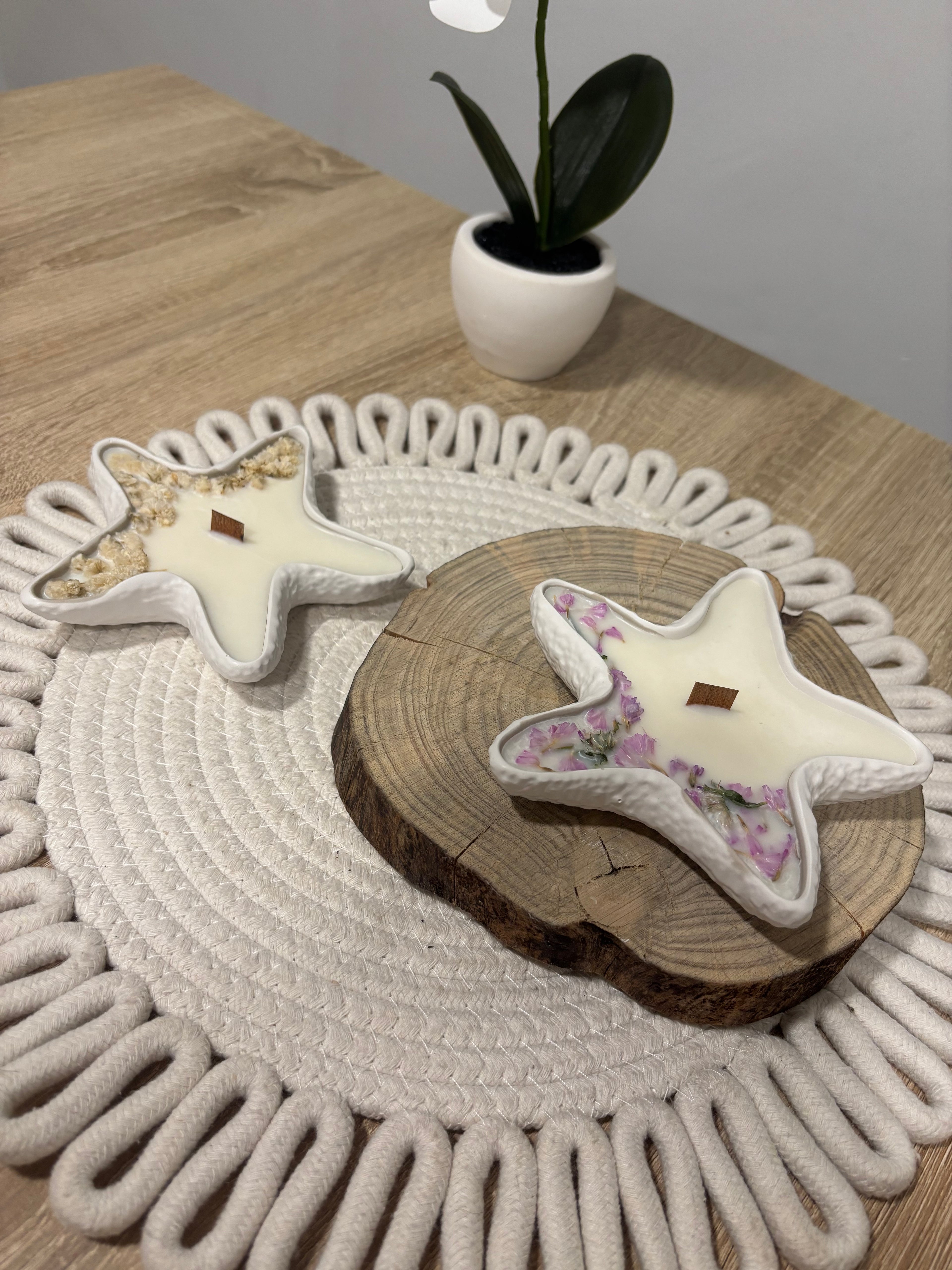 Estrella marina 🌸 Beige