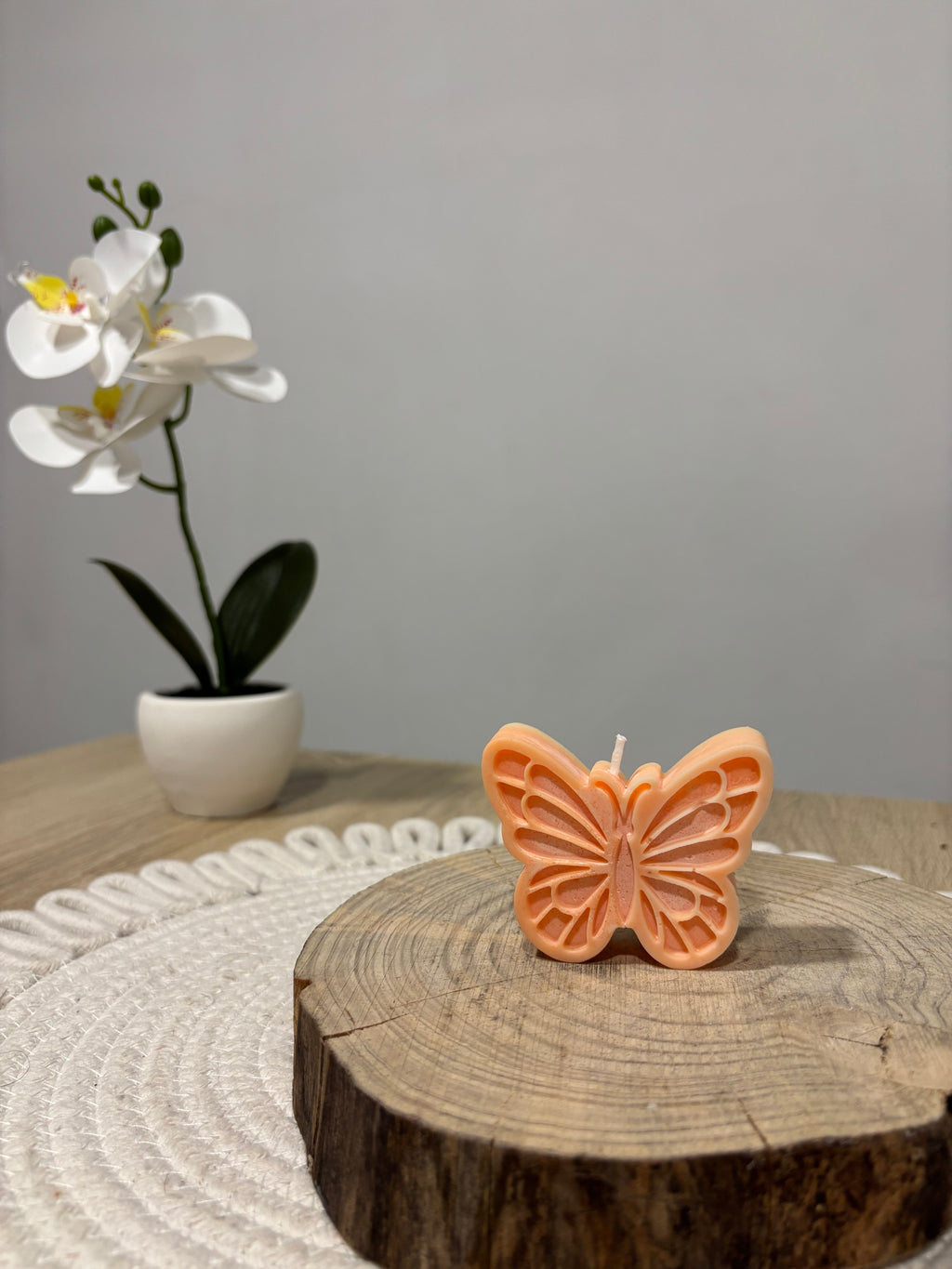 Vela mariposa 🦋