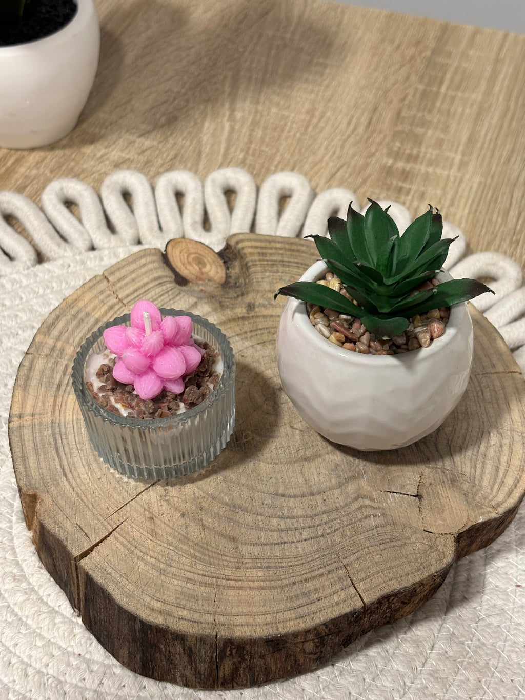 Mini cactus