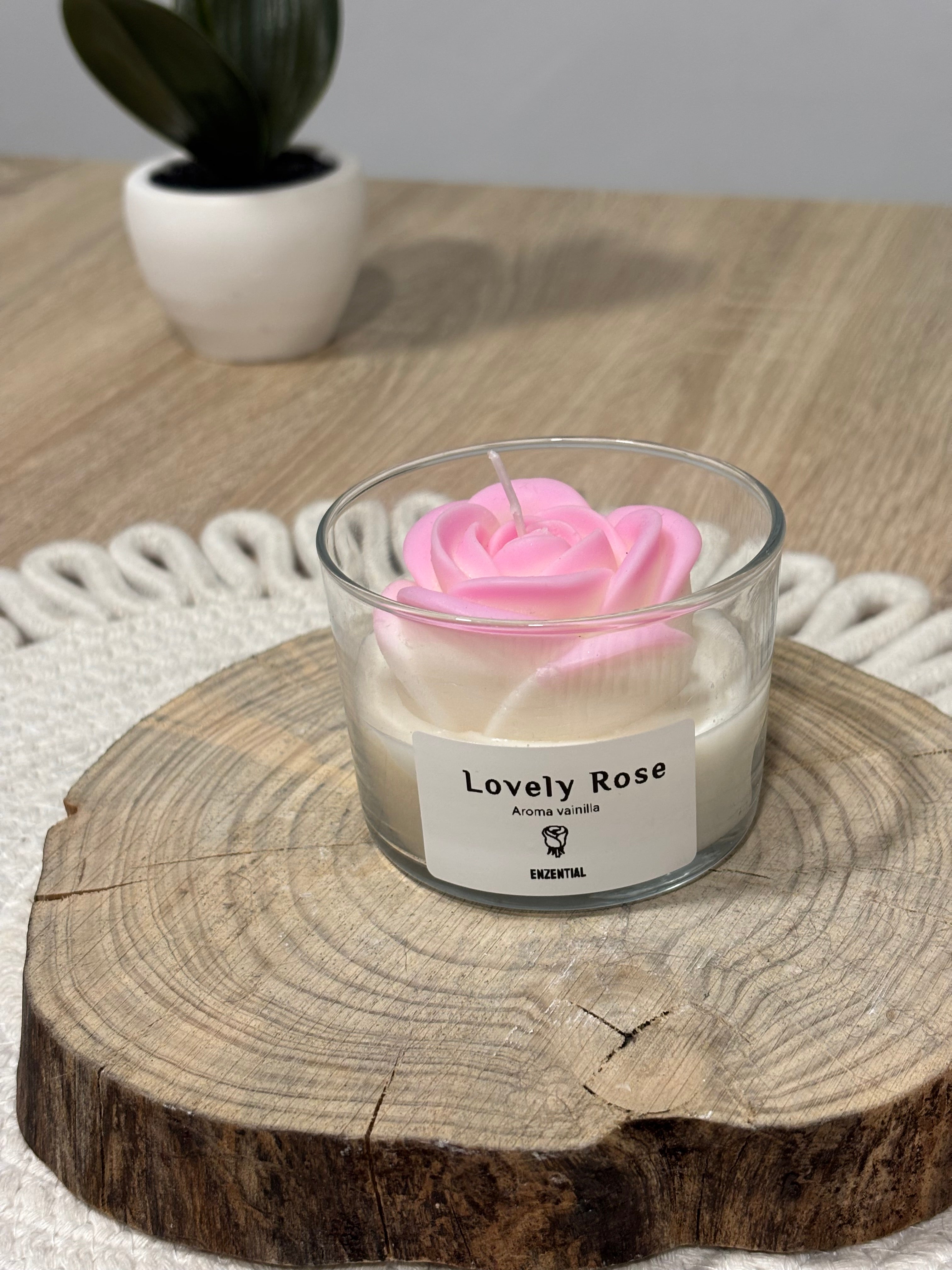 Lovely rose