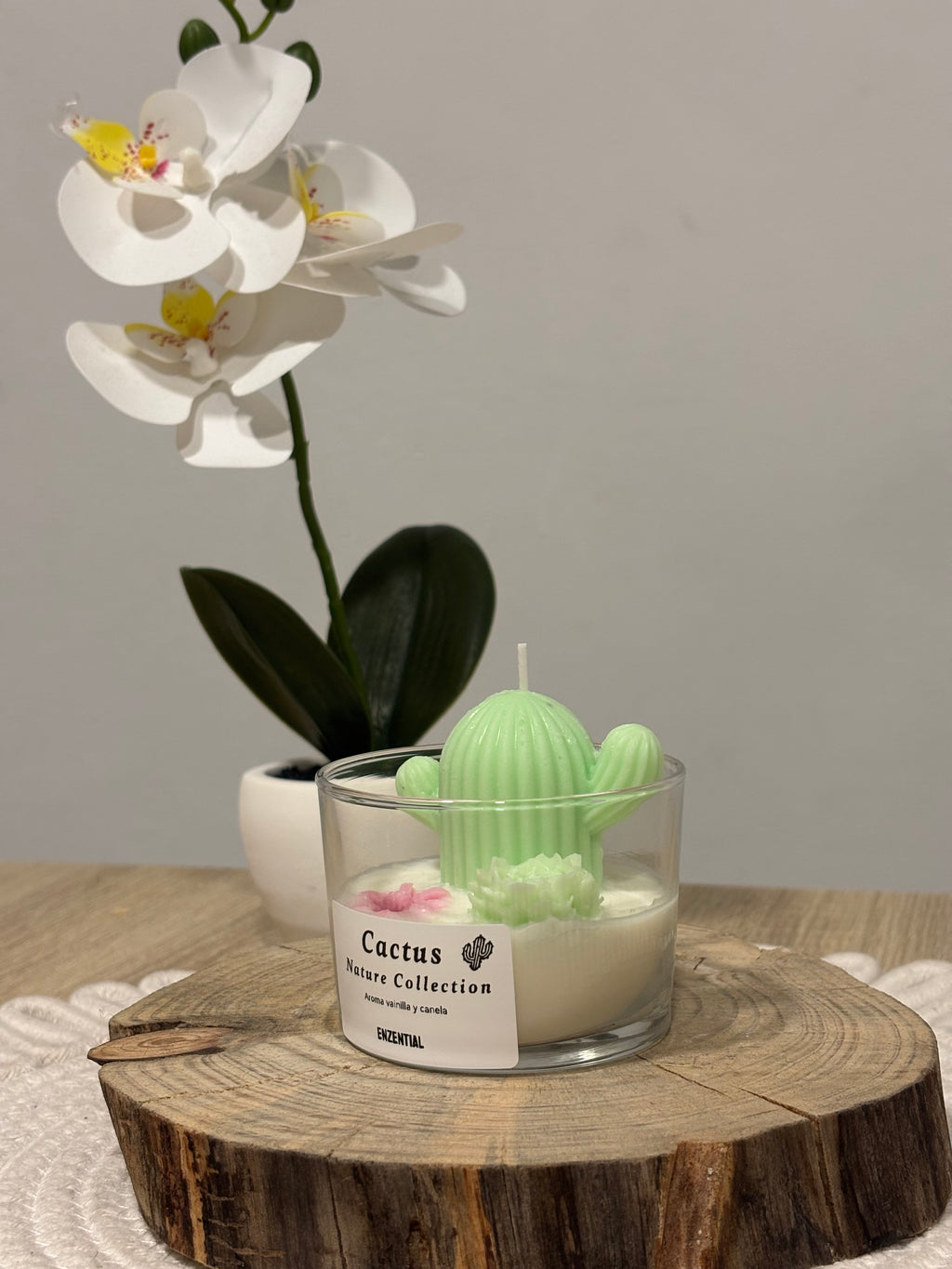 Cactus - Nature collection