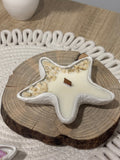 Estrella marina 🌸 Beige