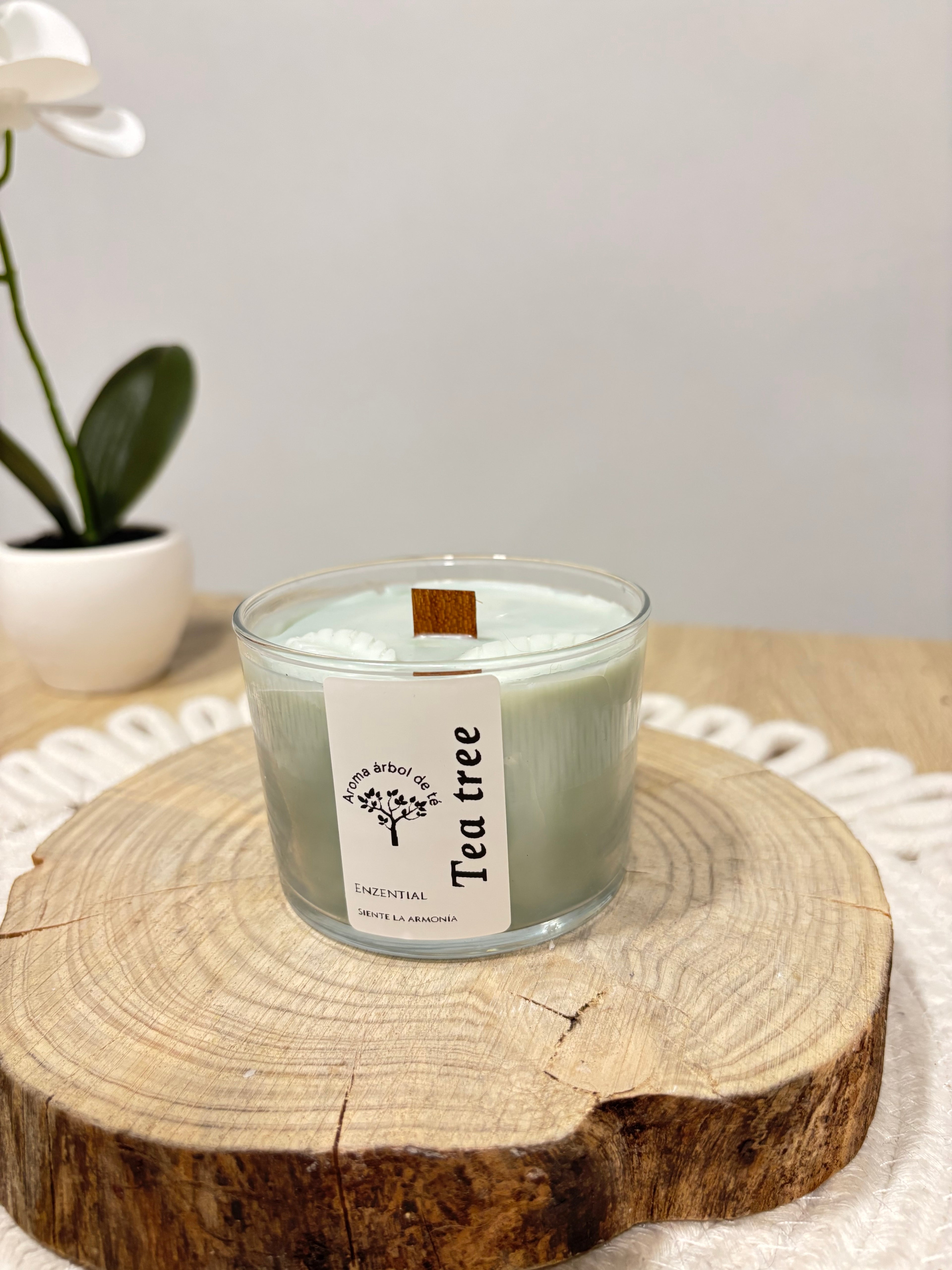Vela Tea Tree -Aroma arbol de té 🌳