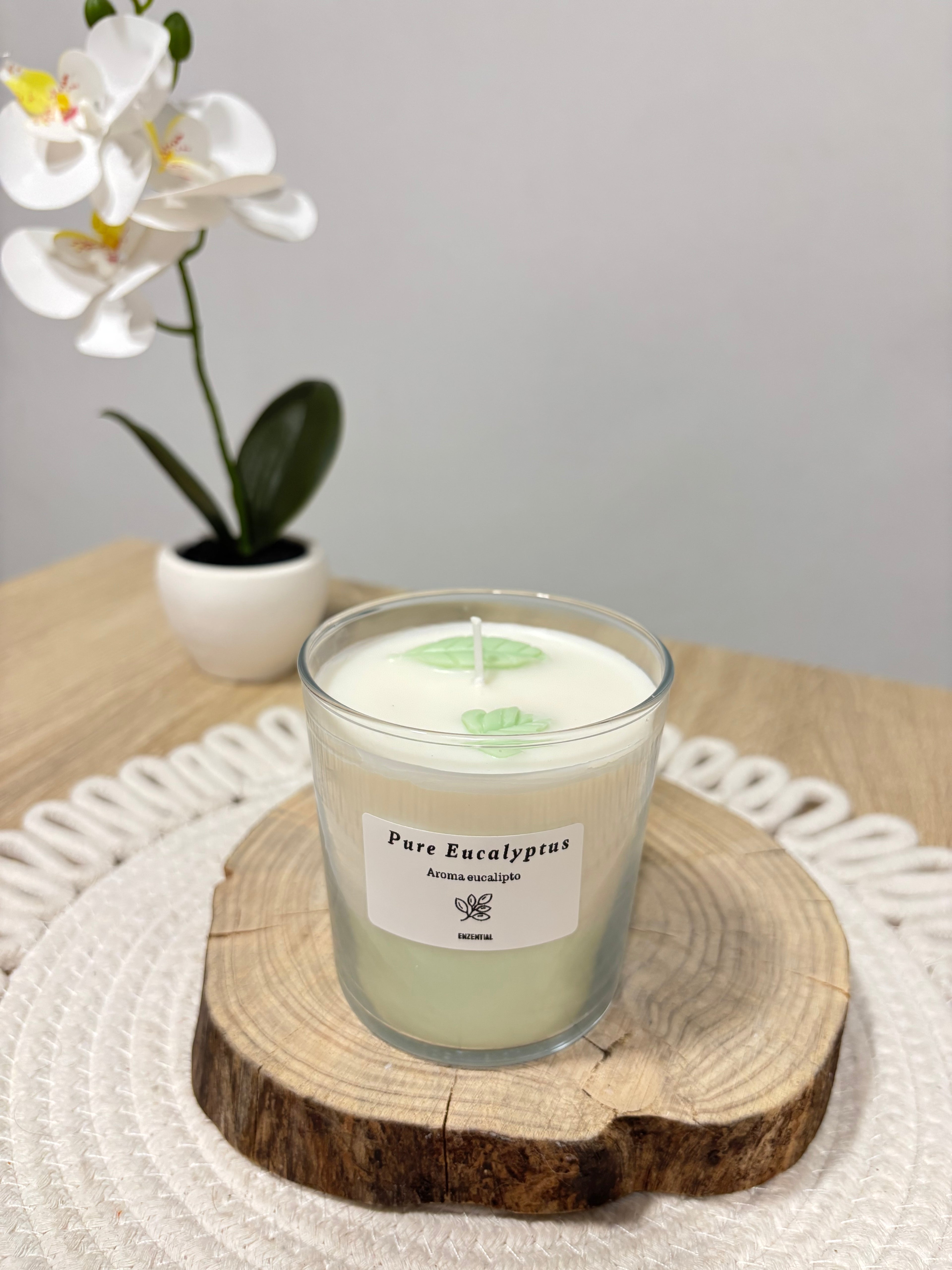 Vela Pure Eucalipto 🌿 - Aroma eucalipto