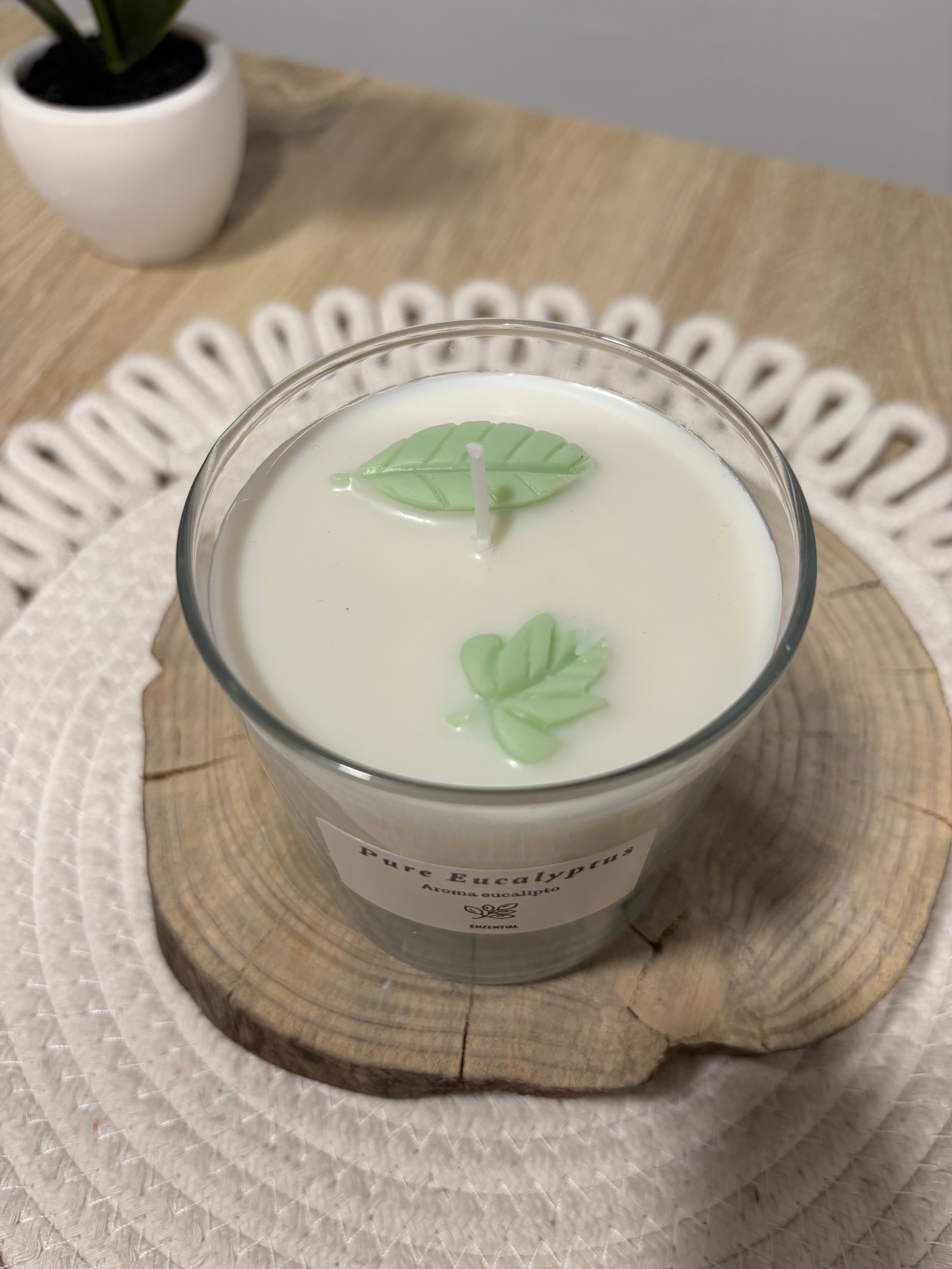 Vela Pure Eucalipto 🌿 - Aroma eucalipto